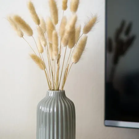 아파트 Lempi Hosted By Hygge Host 로바니에미