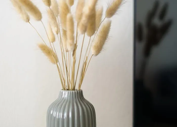 아파트 Lempi Hosted By Hygge Host 로바니에미